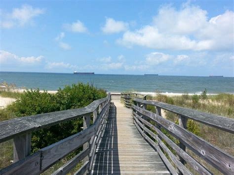 Maybe you would like to learn more about one of these? (The little Beach) First Landing State Park, VA | State ...