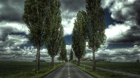 Road Hd Wallpaper Background Image 2560x1440