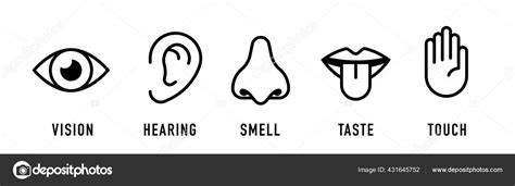 Icon Set Five Human Senses Vision Smell Hearing Touch Taste Stock