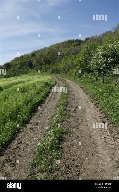 rad reifenspuren im schlamm auf pfad lane im land stockfotografie alamy