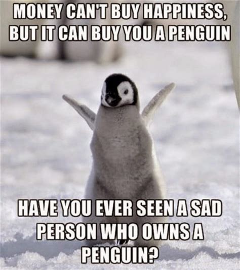 Penguin Meme In 2021 Penguin Meme Penguins Memes Photos