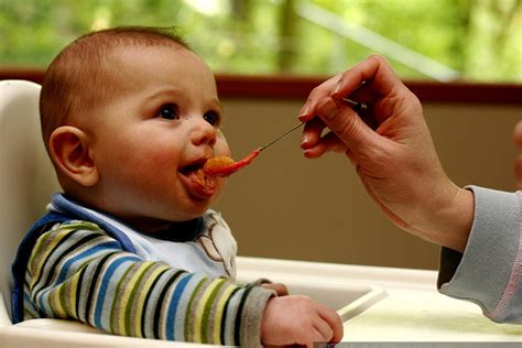 When they first start having solid foods, babies do not need 3 meals a day. The 3 Best Tips for Feeding Your Baby Healthy Foods