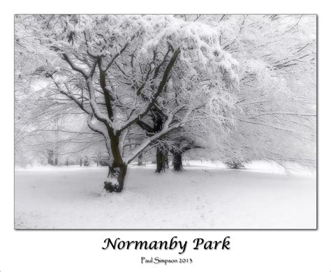 Wallpaper Black And White Freezing Monochrome Photography Tree