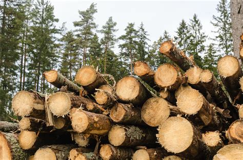 Sustainable Timber From Responsibly Managed Sources