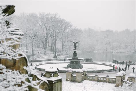 Photo Essays Snow Day In Central Park York Avenue