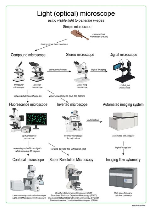 Different Types Of Microscopes Light Microscope Electron Microscope