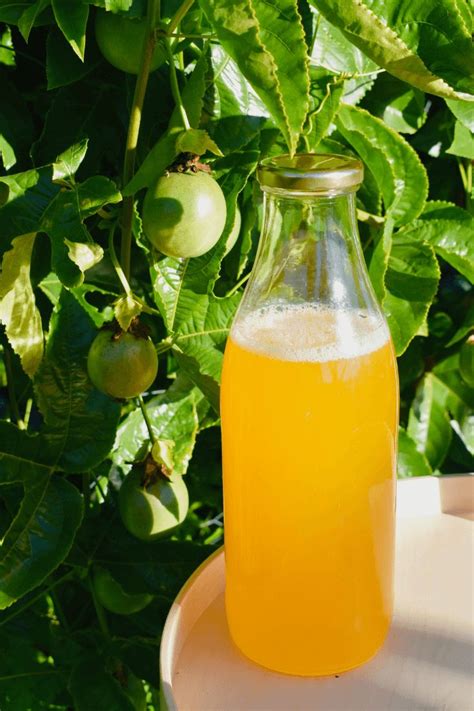 passionfruit cordial cooking with nana ling australian recipes recipe passionfruit