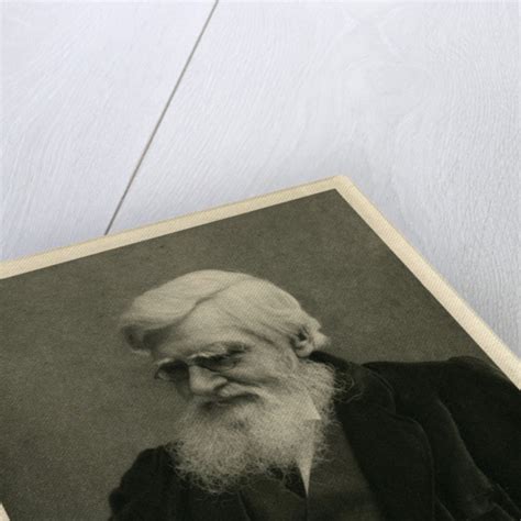 Portrait Of Alfred Russel Wallace Posters And Prints By Art Reproduction
