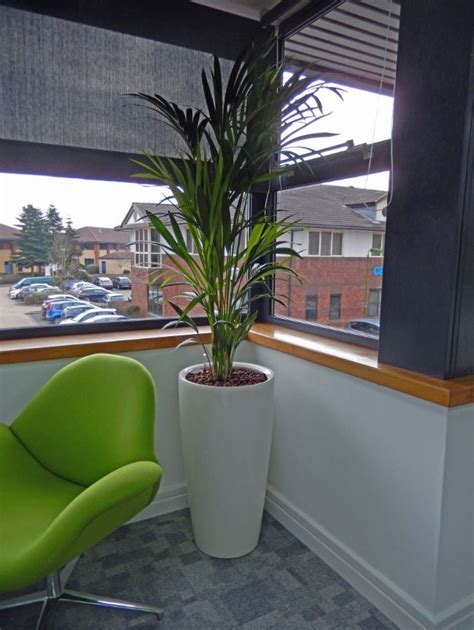 Cabinet And Barrier Plants For Derby Offices Office Landscapes