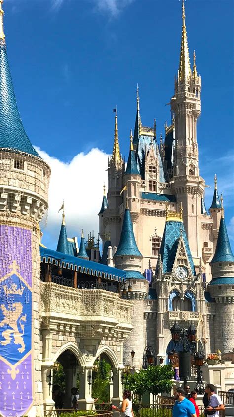 Disney World Castle Wallpapers On Wallpaperdog