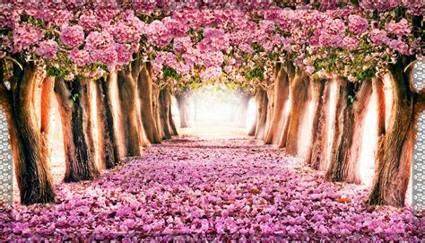 Spring Colorful Wallpapers Wallpaper Cave