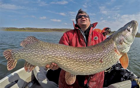 Day Of The Big Pike