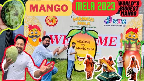 Mango Festival 2023 🥭 Mango Mela In Chandigarh Welcome To Mango Mela