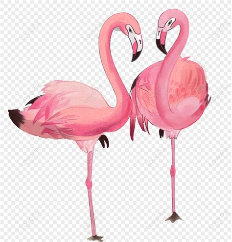 Flamingo Kawaii PNG Imagens com fundo transparente Download grátis em