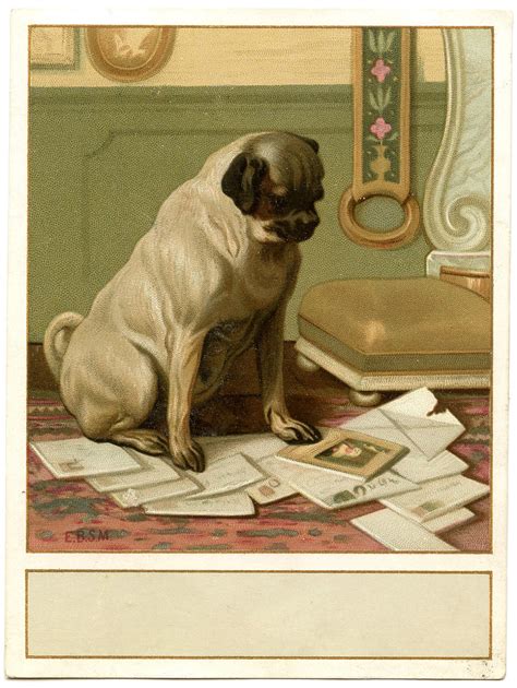 Vintage Image Cute Dog With Mail Label The Graphics