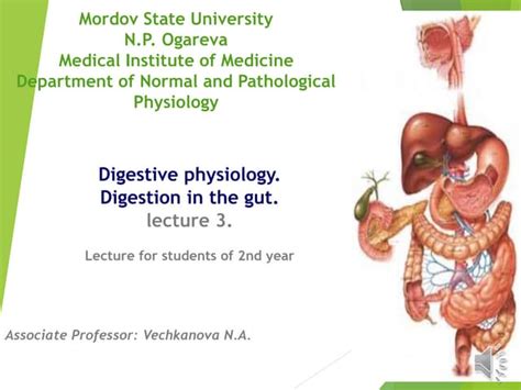 Lecture 3 Digestion In The Intestinespdf