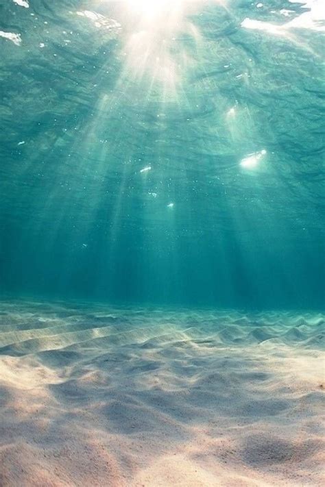 Aesthetic Underwater Pictures