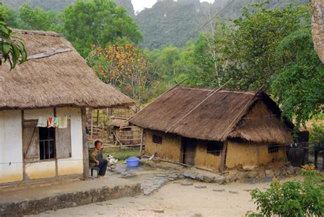 Traditional Rural Vietnamese Thatched Huts Near The Entrance To Cat Ba