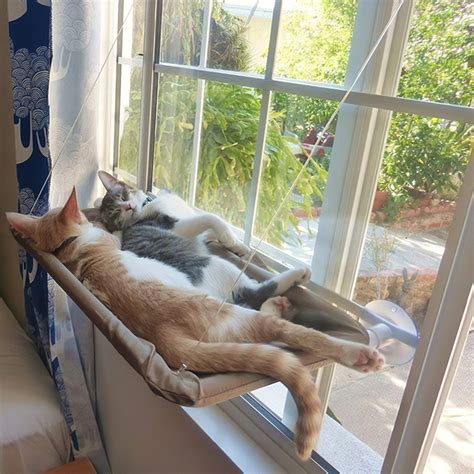 Trixie hammock for cats ( ) from cat beds range for your pets buy by cheap price now. Cat Window Perch Hammock Window Mounted Cat Bed Cooling Breathable Canvas Suction Cups Sunbath ...