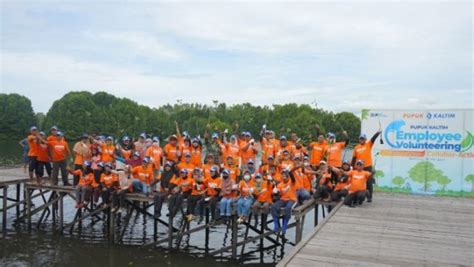 Hari Keanekaragaman Hayati Sedunia PKT Tanam 1 500 Bibit Mangrove Di