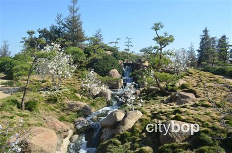 10 Best Attractions At Japanese Garden Los Angeles Citybop
