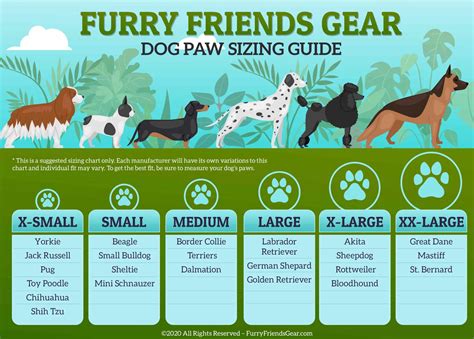 Dog Paw Size Chart Best 3 Ways To Size Dogs Paws Helpful