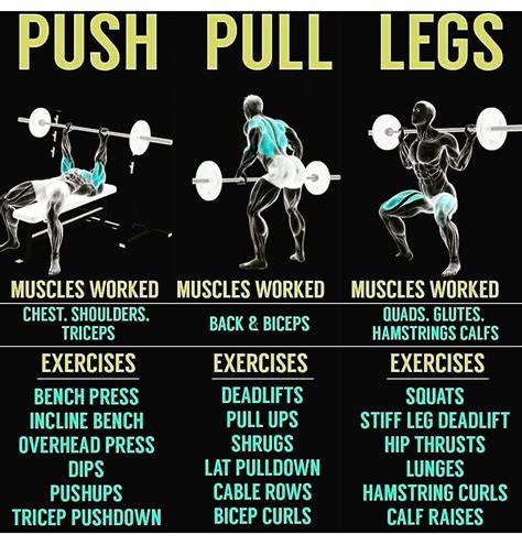 Make a workout of PUSH EXERCISE PULL EXERCISE LEG EXERCISE for a week for a month..  | Push 