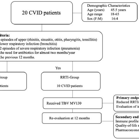 Flow Chart Of The Classification Of Common Variable Immunodeficiency