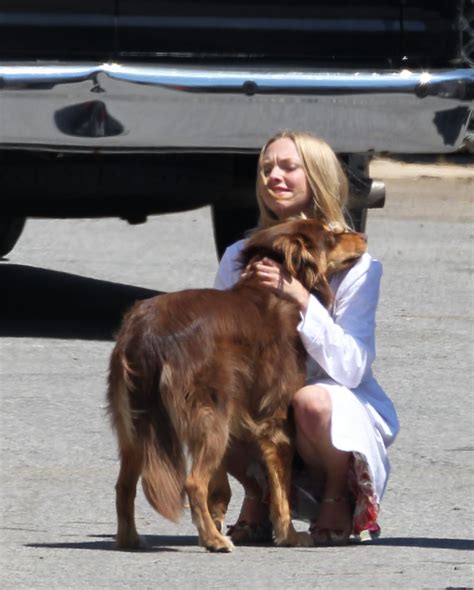 Amanda Seyfried Humped By Her Dog On The Set Of The Wedding Porn