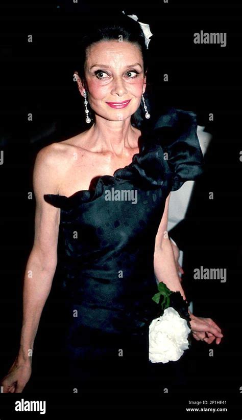 Audrey Hepburn 1980s Photo By Adam Scull Stock Photo Alamy