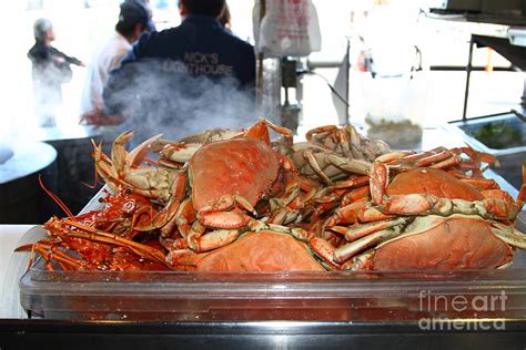 Freshly Cooked Steaming Hot Dungeness Crabs At Fishermans Wharf San