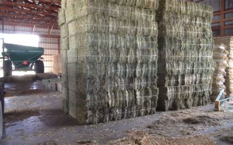 Premium Grass Hays Bagged Pine Shavings By Firehorse Farms In