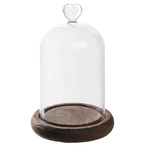 Buy Myt 7 Inch Decorative Cloche With Rustic Wood Base Clear Glass Bell Jar Dome