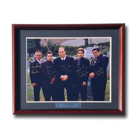 The Sopranos Cast Signed 16x20 Photo Framed Steiner Coa Autograph