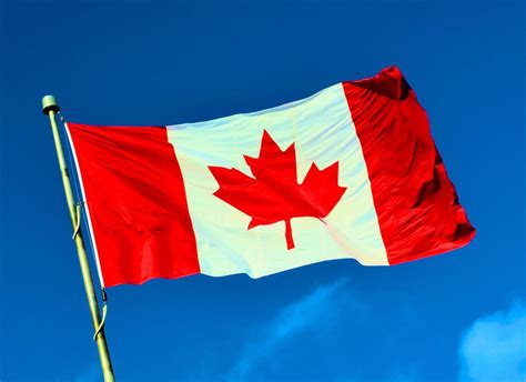 Happy Canada Day! | Canada day, Canada, Happy canada day