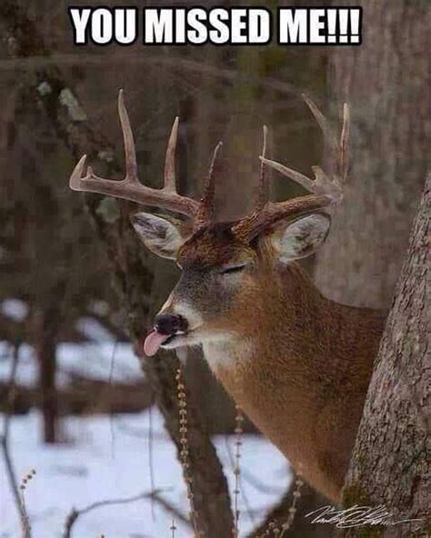 The 20 Best Deer Hunting Memes So Far