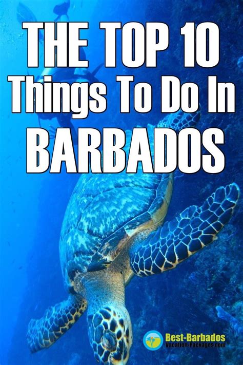 The Top 10 Things To Do In Barbados Including Horseback Riding