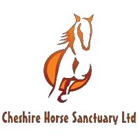 Cheshire Horse Sanctuary | Helping Horses, Helping People | Donate