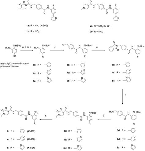 Structures Of Known K560 Derivatives And Synthetic Routes Of New