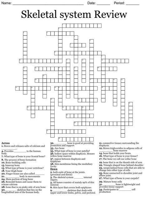 Bone Anatomy Crossword Musculoskeletal System Crossword Puzzle