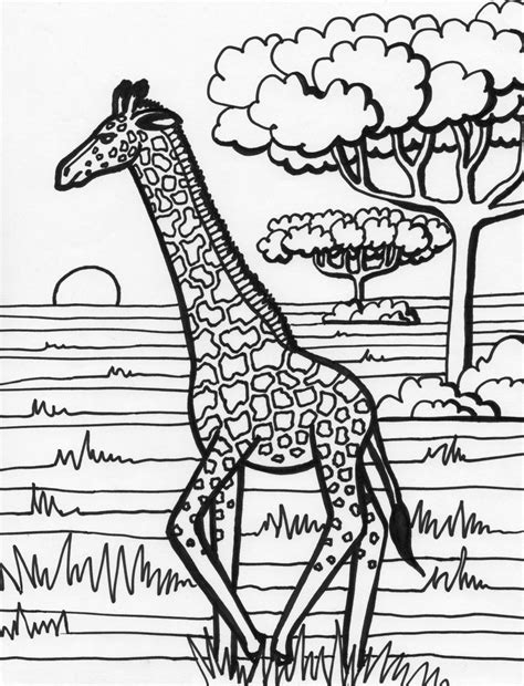 Coloring Pages For Adults Giraffe At Free Printable