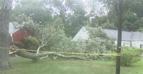 Tracking Henri Relentless Rain Floods Residential Roads Topples Trees