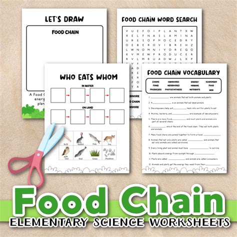 Free Food Chain Worksheets For Kids
