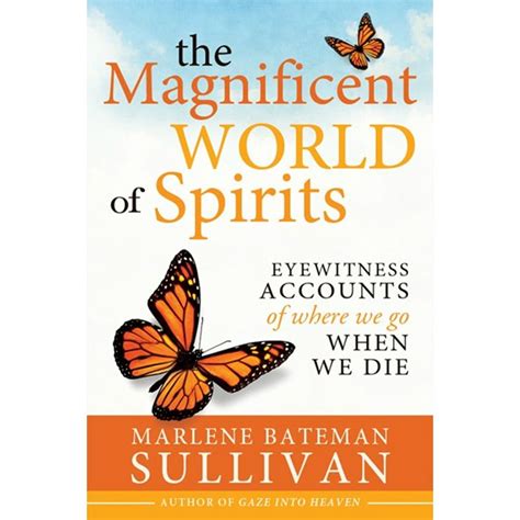 The Magnificent World Of Spirits Lds Books Spirit World Spirit