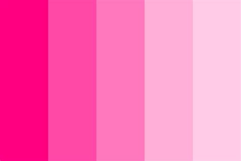 Shades Of Pink Color Wheel