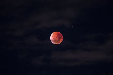 A Blood Moon On The Sky Of Stockholm On Account Of The Lunar Eclipse