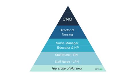 The Hierarchy Of Nursing Freshrn