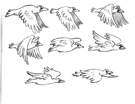 Flying Bird Drawing Step By Step How To Draw A Bird Bodaqwasuaq