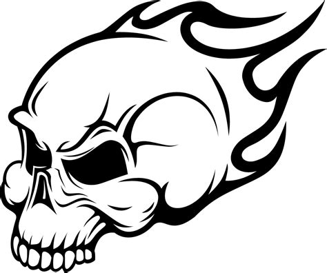 Free Black And White Skull Drawings Download Free Black And White