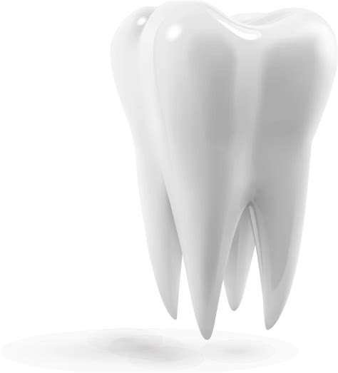 Tooth Png Transparent Image Download Size 917x1013px